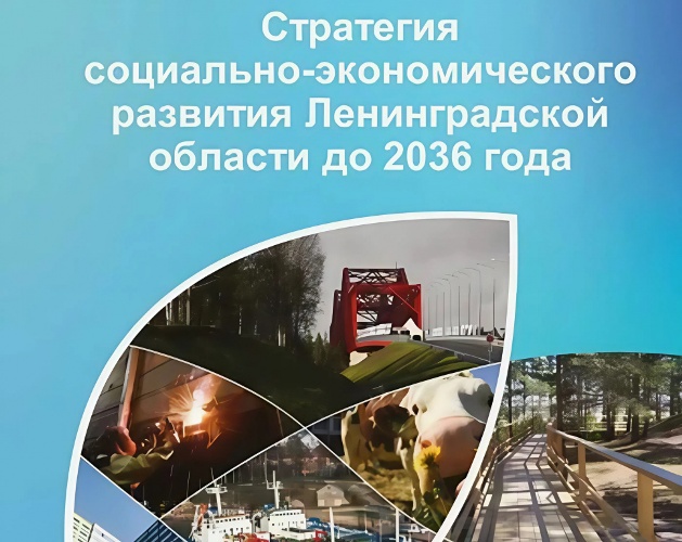О мерах государственной поддержки в части контрольной (надзорной) деятельности в 2025 году.