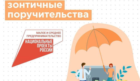 НАЦИОНАЛЬНЫЕ ПРОЕКТЫ: 388 млн рублей привлекли субъекты МСП Ленобласти под «зонтичные» поручительства.